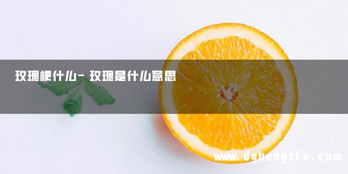 玫瑰梗什么-玫瑰是什么意思 